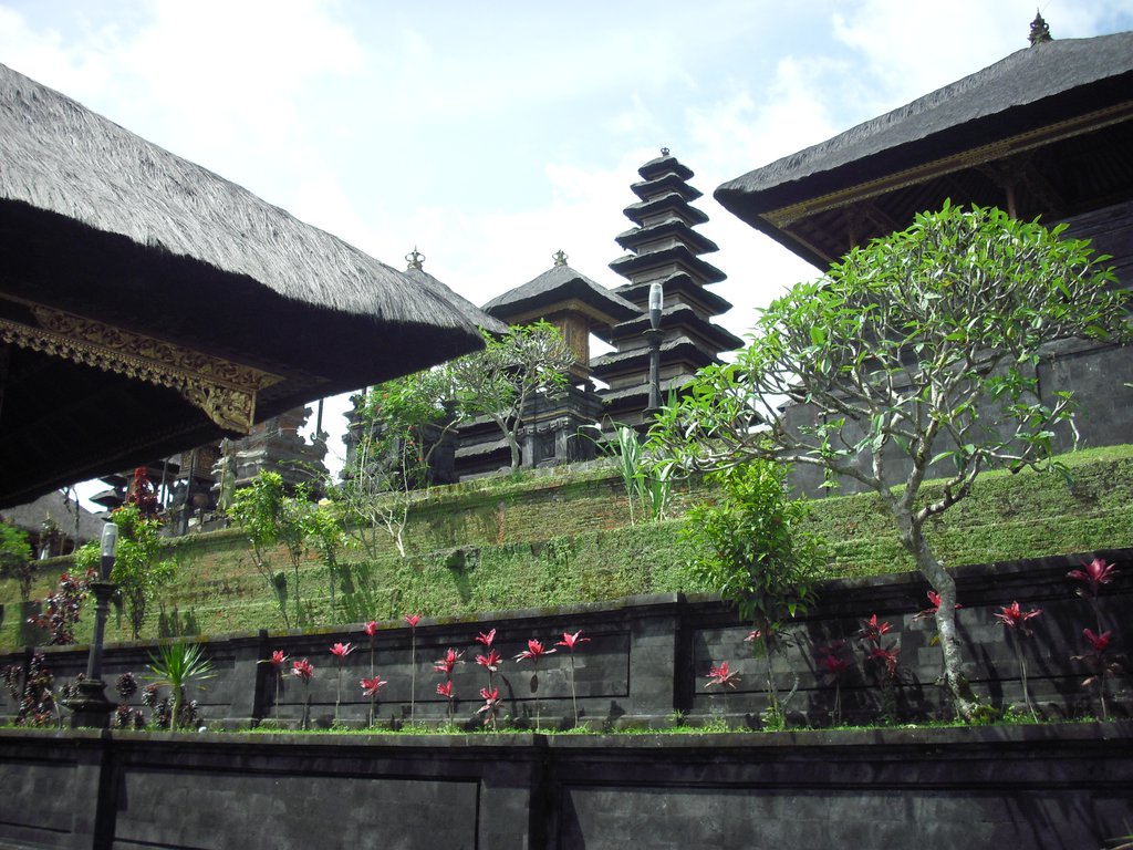 Image CIMG6752.JPG