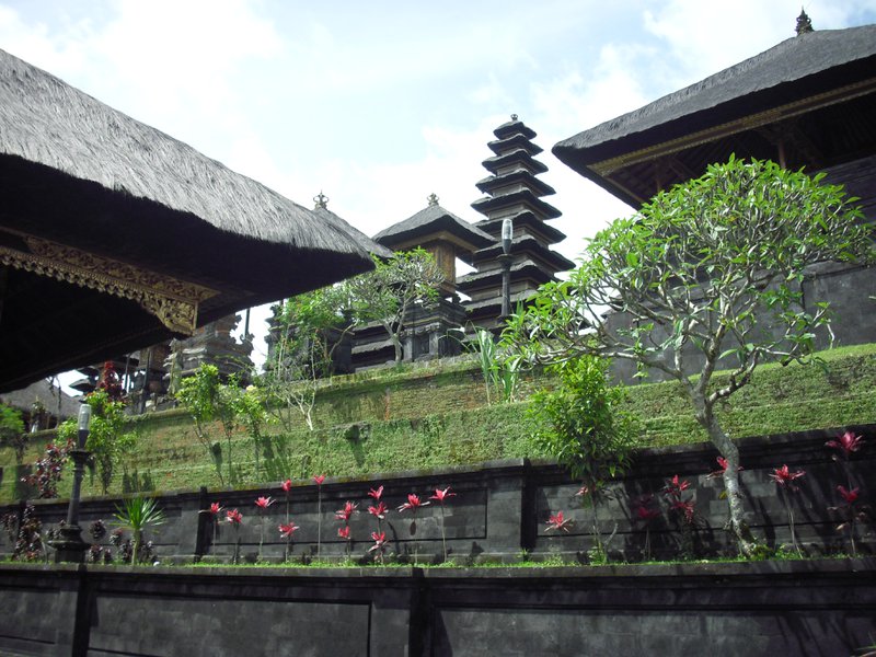 Image CIMG6752.JPG