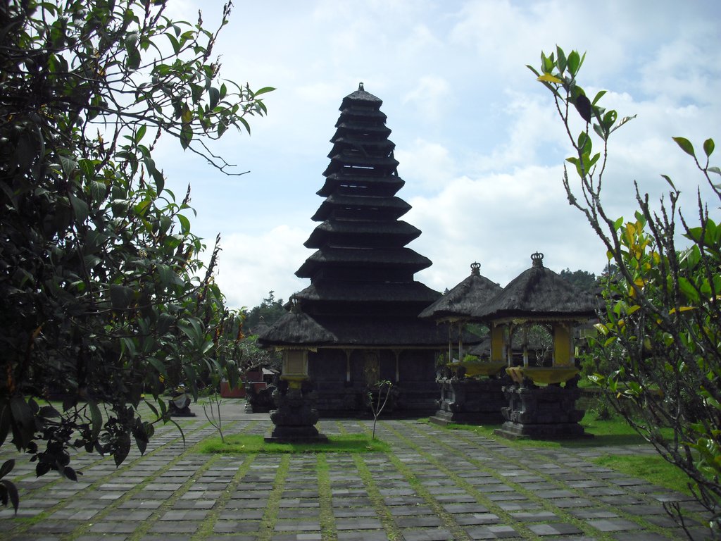 Image CIMG6762.JPG