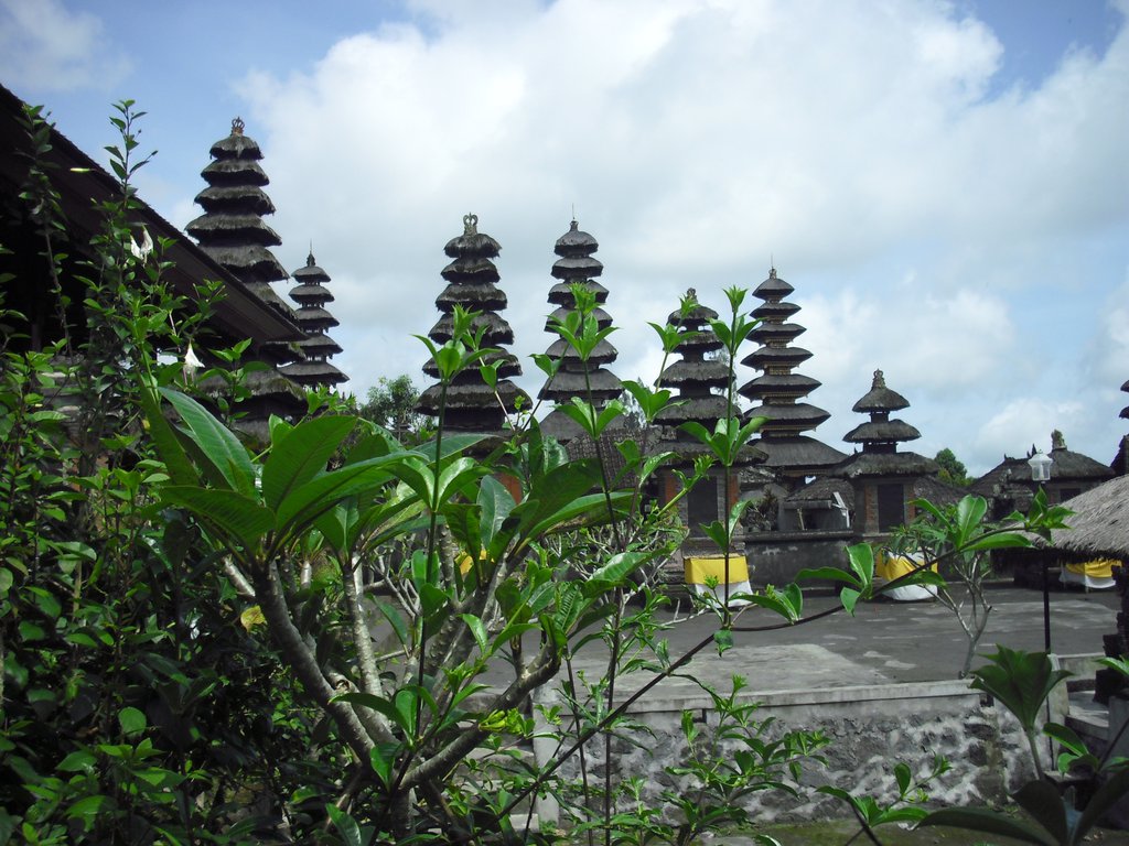 Image CIMG6763.JPG