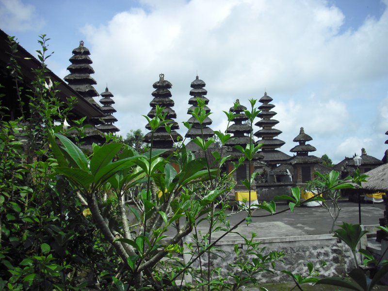 Image CIMG6763.JPG