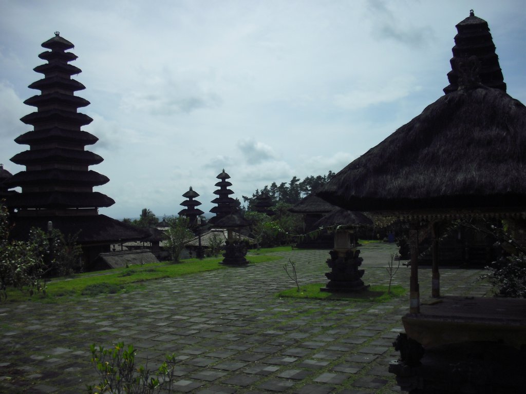 Image CIMG6764.JPG