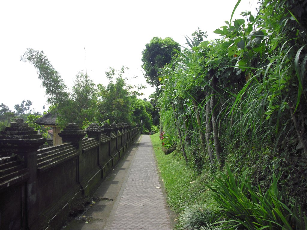 Image CIMG6765.JPG