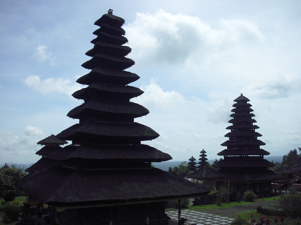 Image CIMG6766.JPG