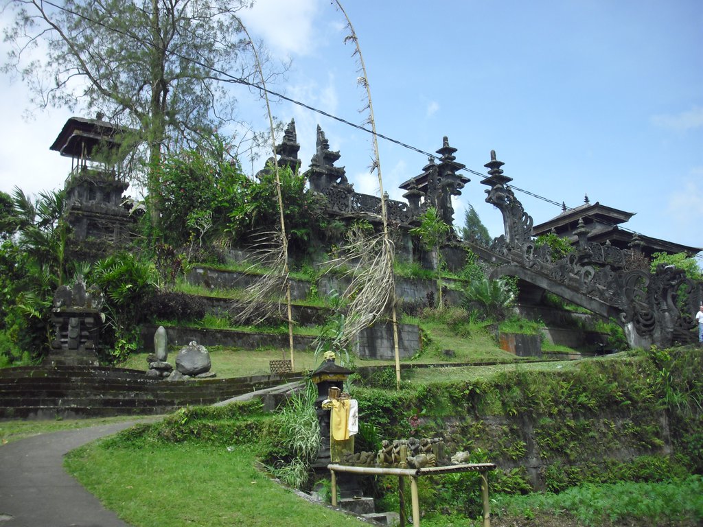 Image CIMG6767.JPG