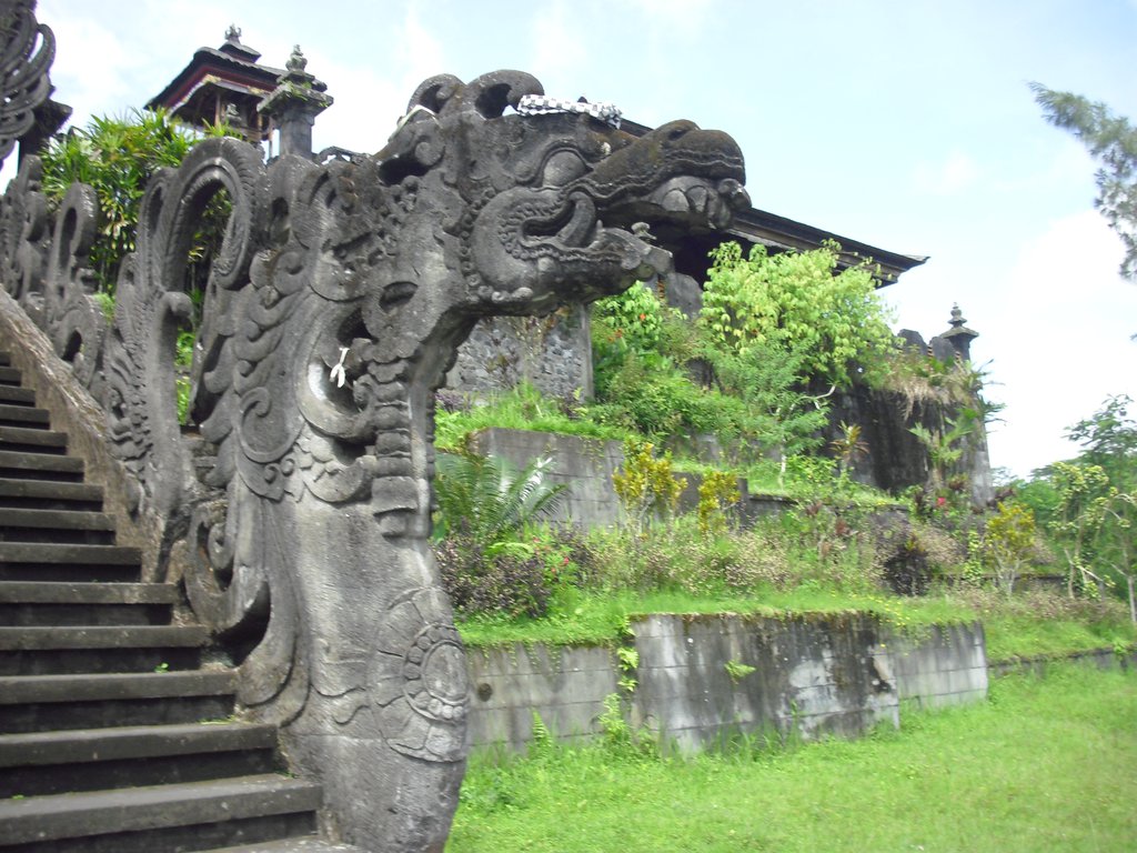 Image CIMG6768.JPG