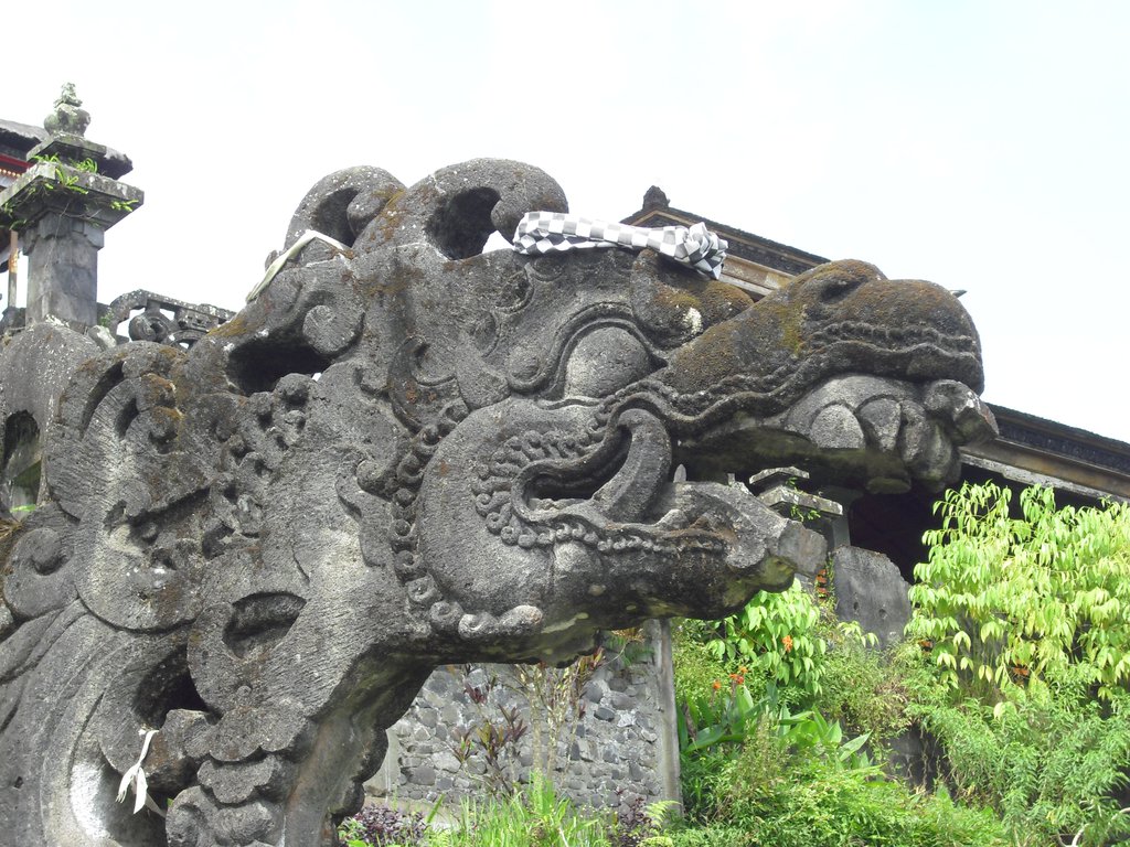 Image CIMG6769.JPG