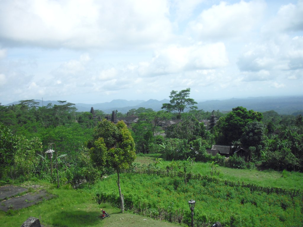 Image CIMG6774.JPG