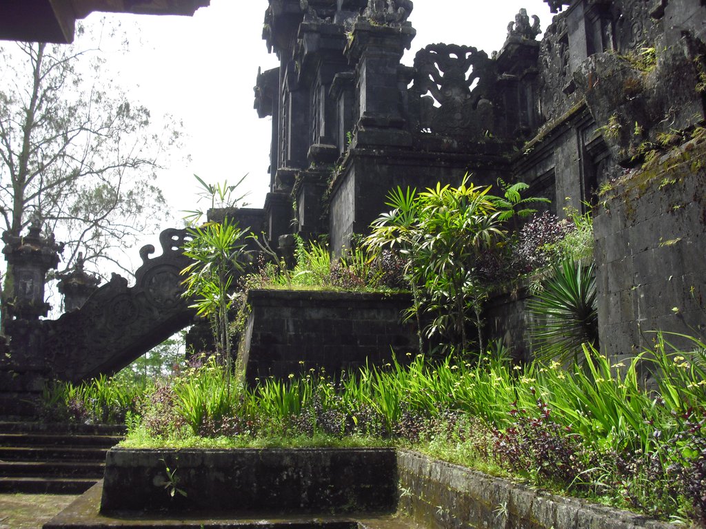 Image CIMG6778.JPG