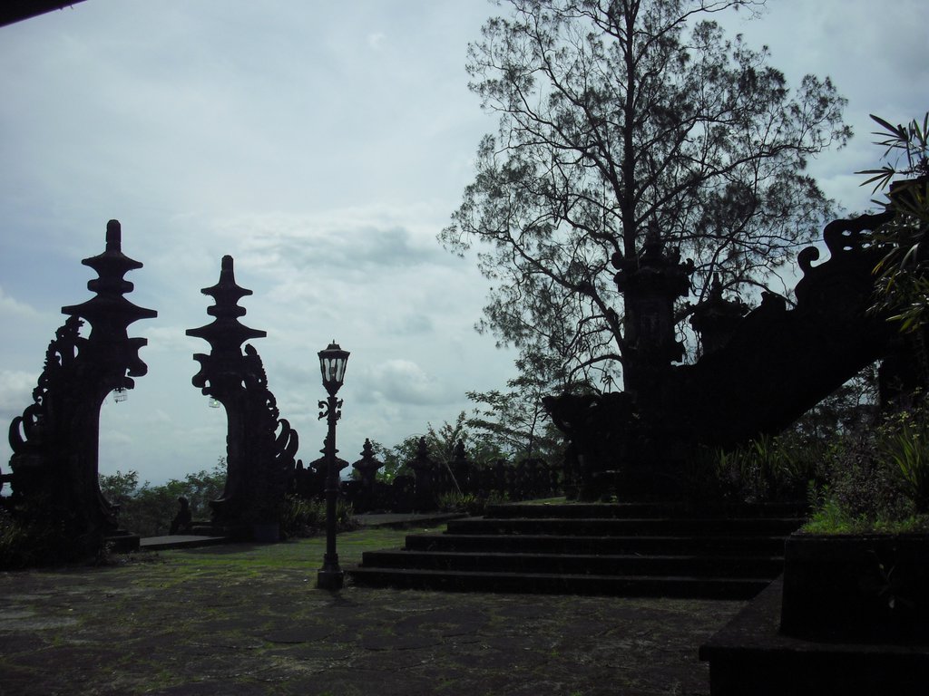 Image CIMG6779.JPG