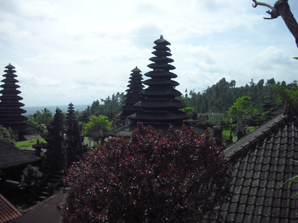 Image CIMG6780.JPG