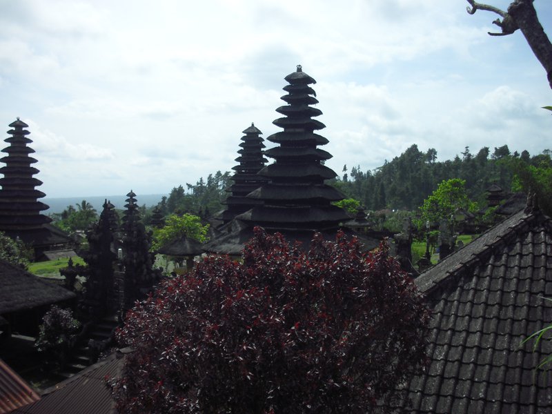 Image CIMG6780.JPG
