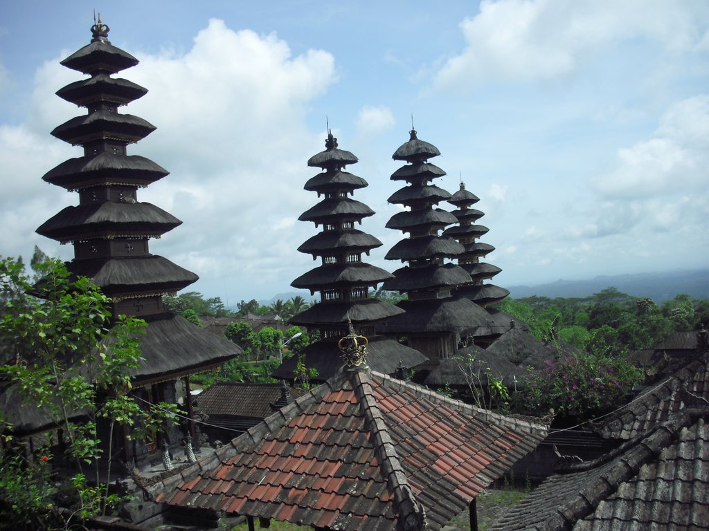 Image CIMG6781.JPG
