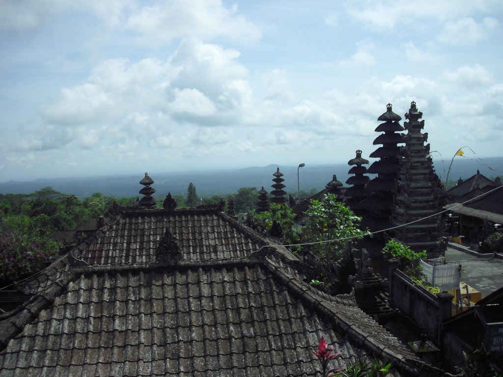 Image CIMG6782.JPG