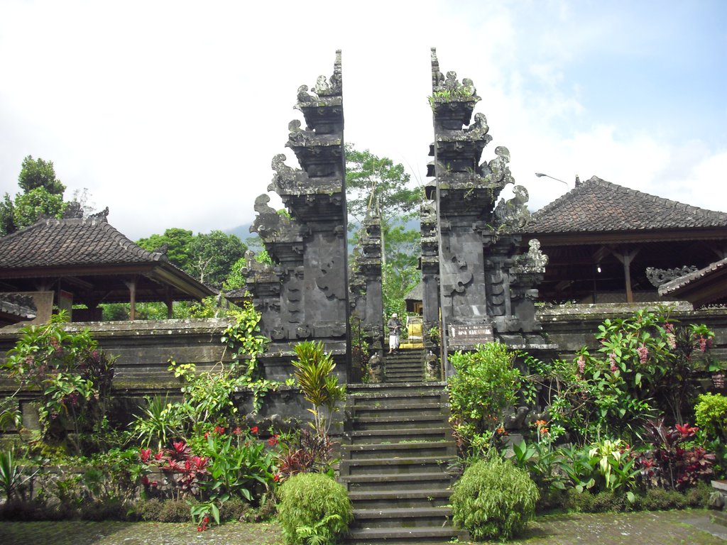 Image CIMG6784.JPG