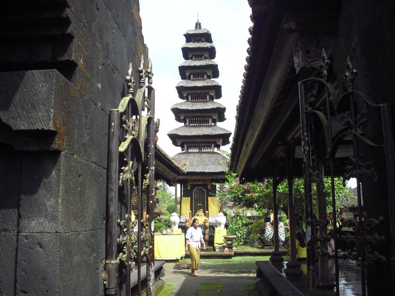 Image CIMG6785.JPG