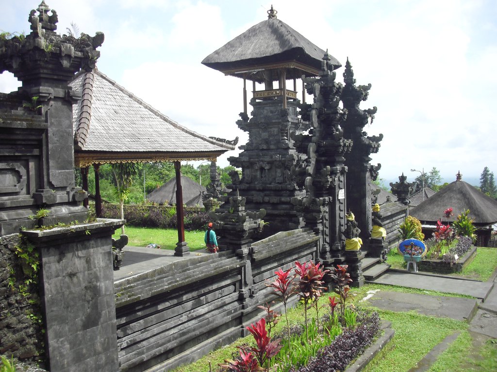Image CIMG6786.JPG