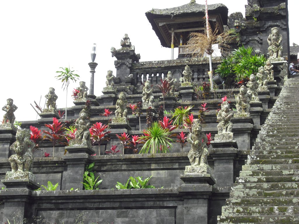 Image CIMG6787.JPG