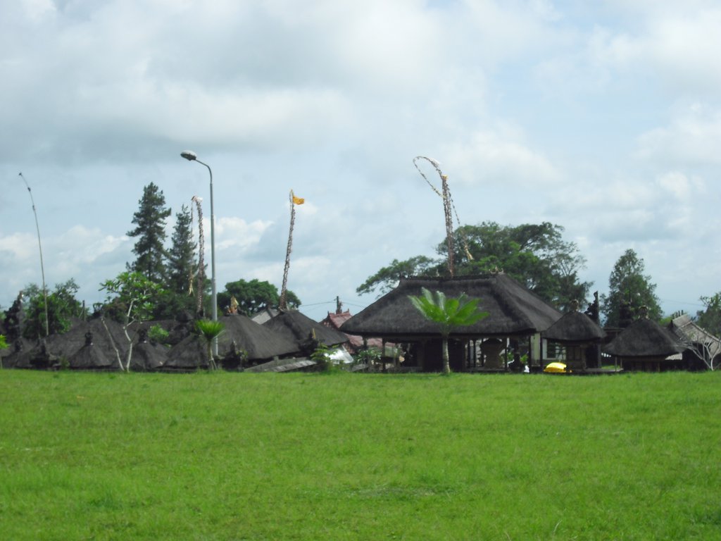 Image CIMG6789.JPG
