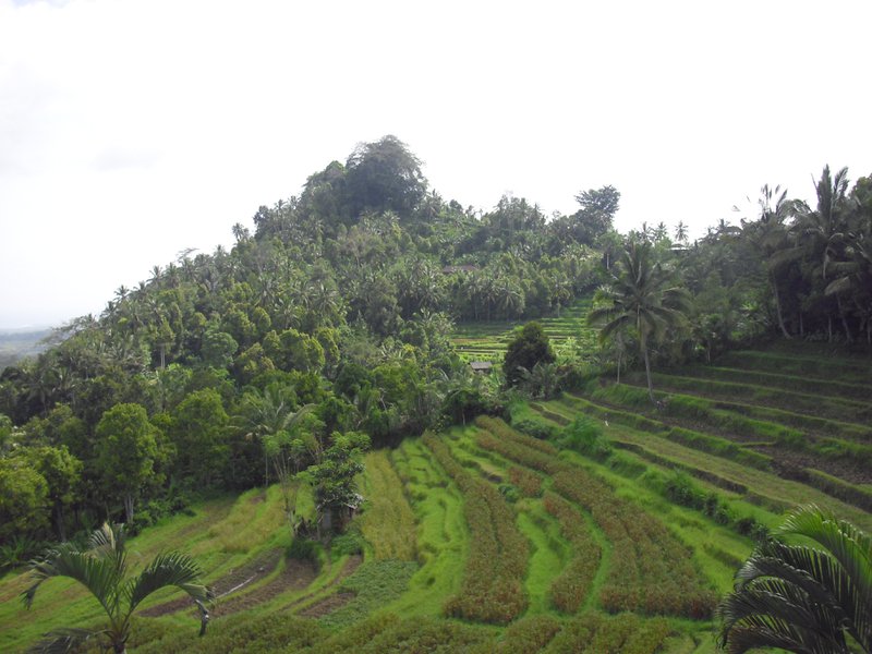 Image CIMG6794.JPG