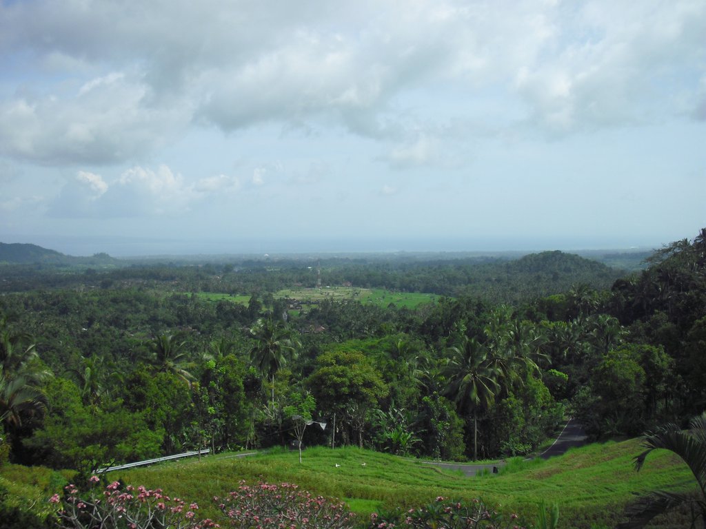Image CIMG6795.JPG