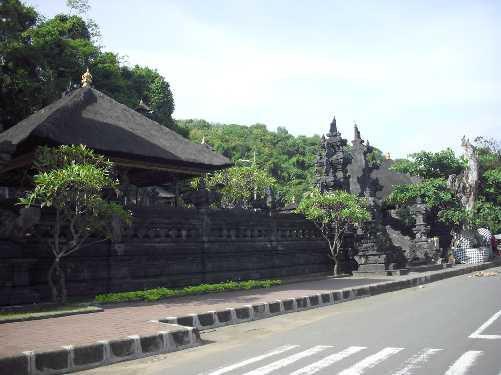 Image CIMG6797.JPG