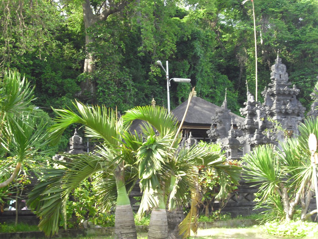 Image CIMG6799.JPG
