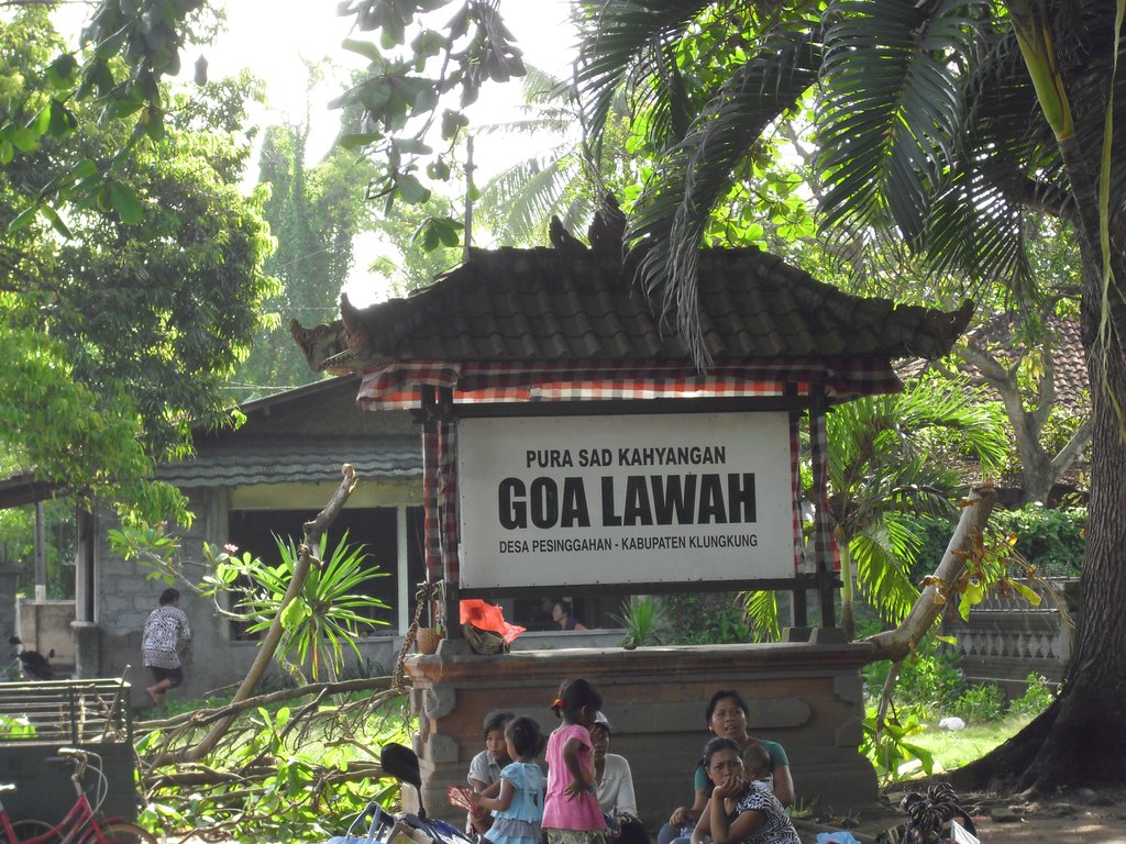Image CIMG6801.JPG