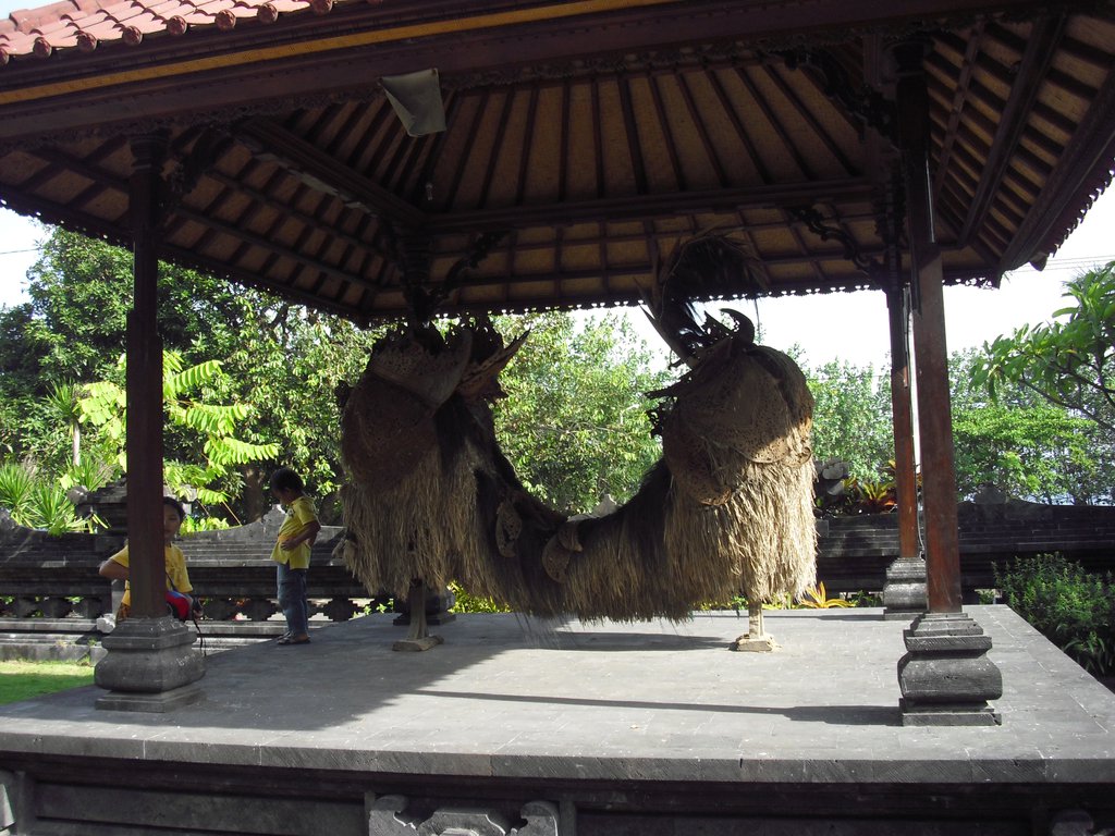 Image CIMG6802.JPG
