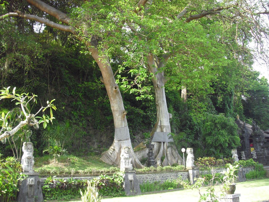 Image CIMG6803.JPG