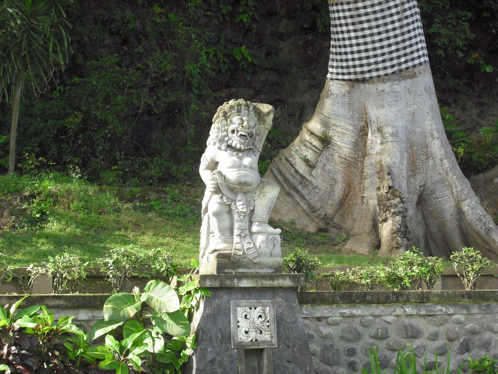 Image CIMG6806.JPG