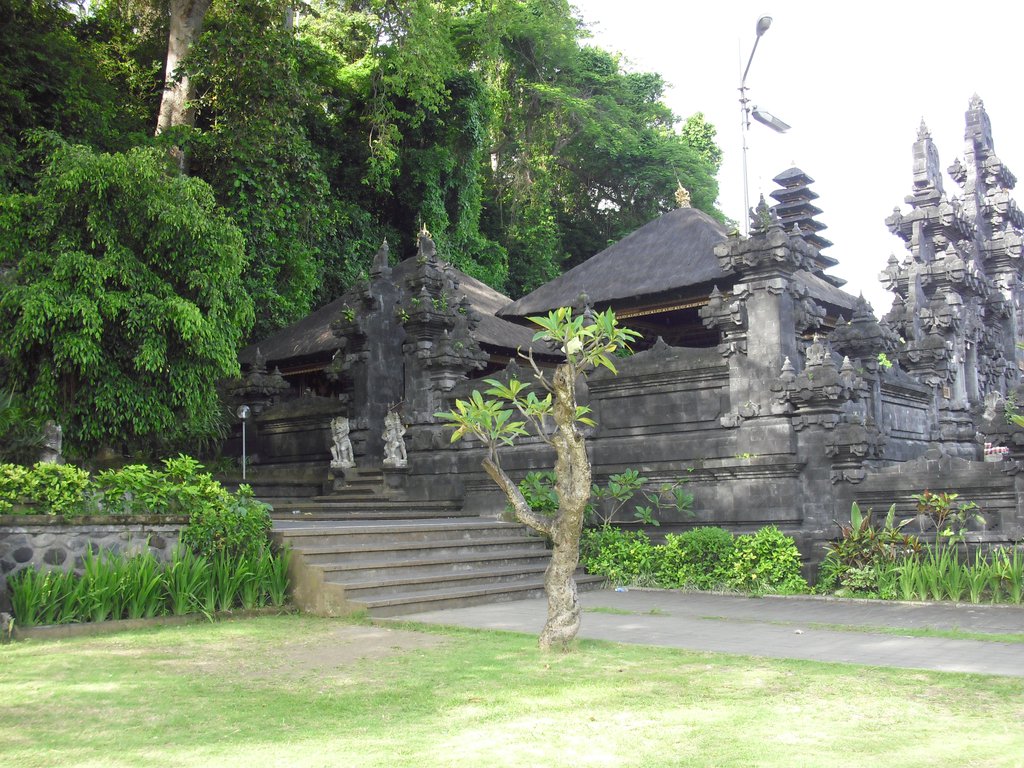 Image CIMG6807.JPG