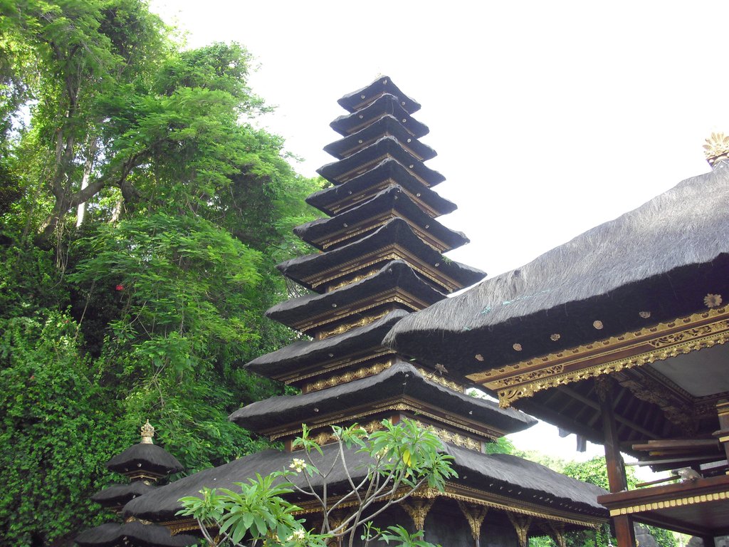 Image CIMG6814.JPG