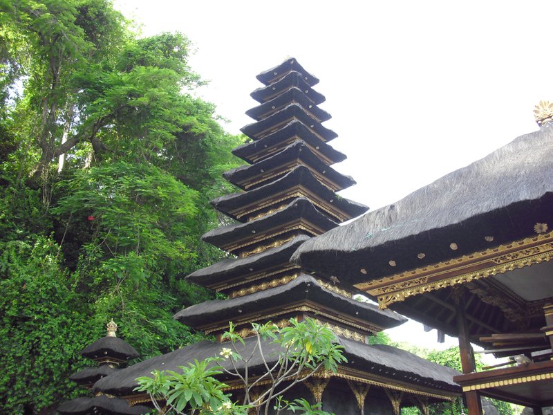 Image CIMG6814.JPG