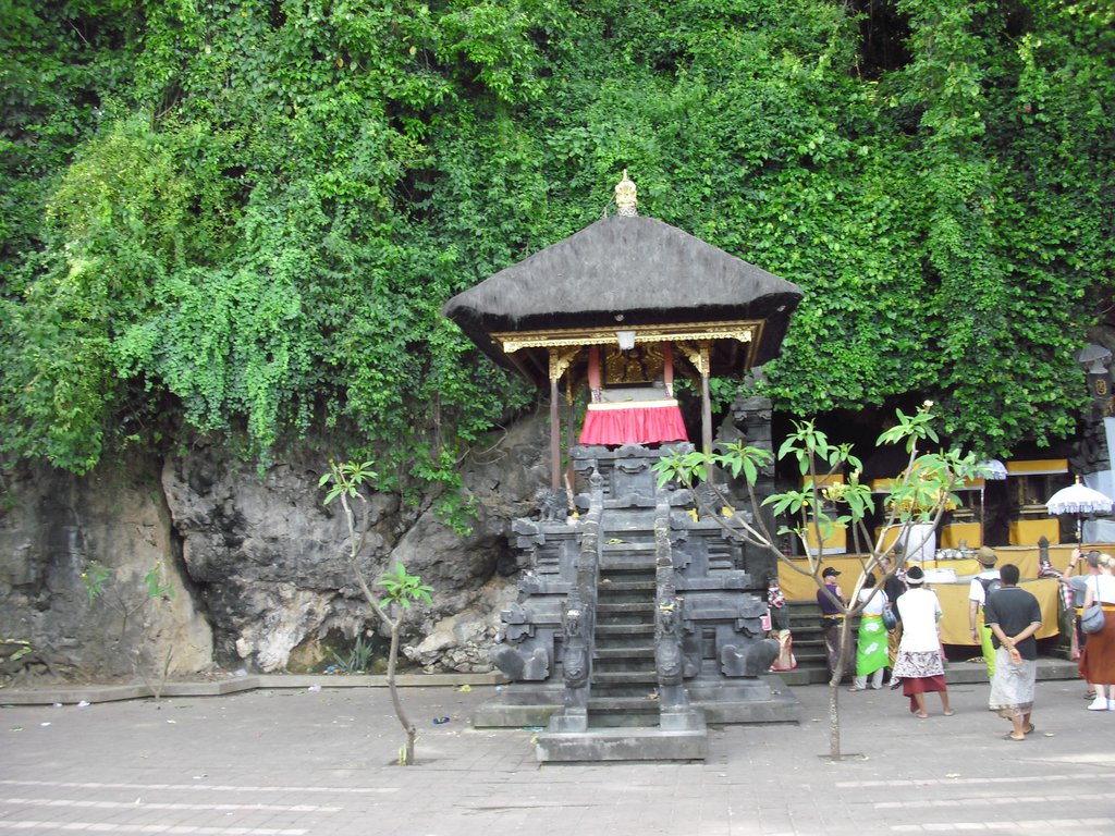 Image CIMG6815.JPG