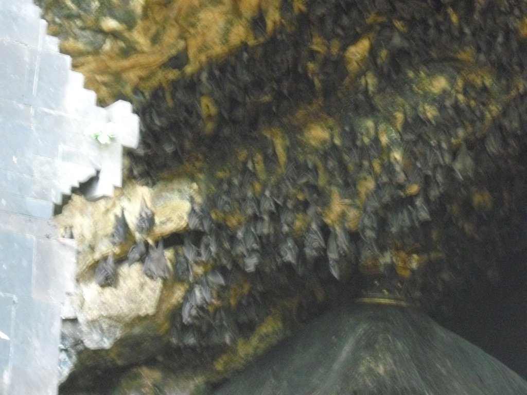 Image CIMG6819.JPG