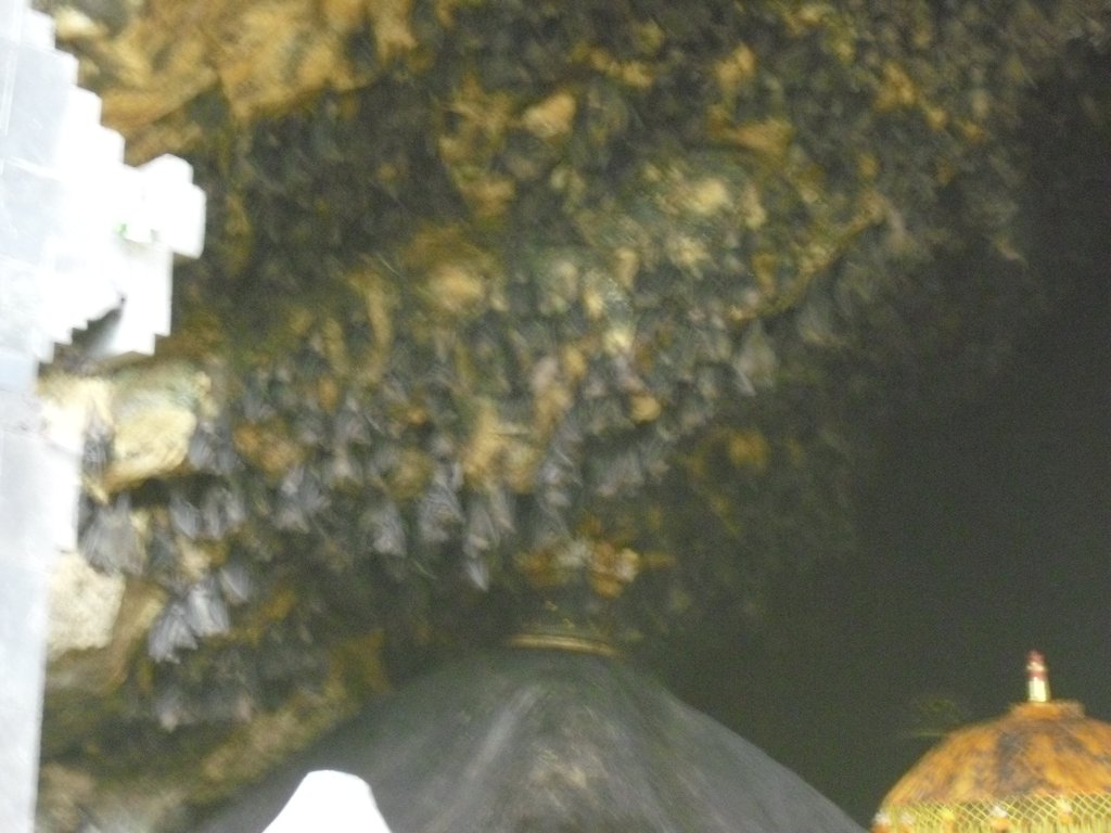 Image CIMG6820.JPG