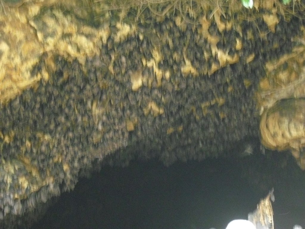 Image CIMG6823.JPG