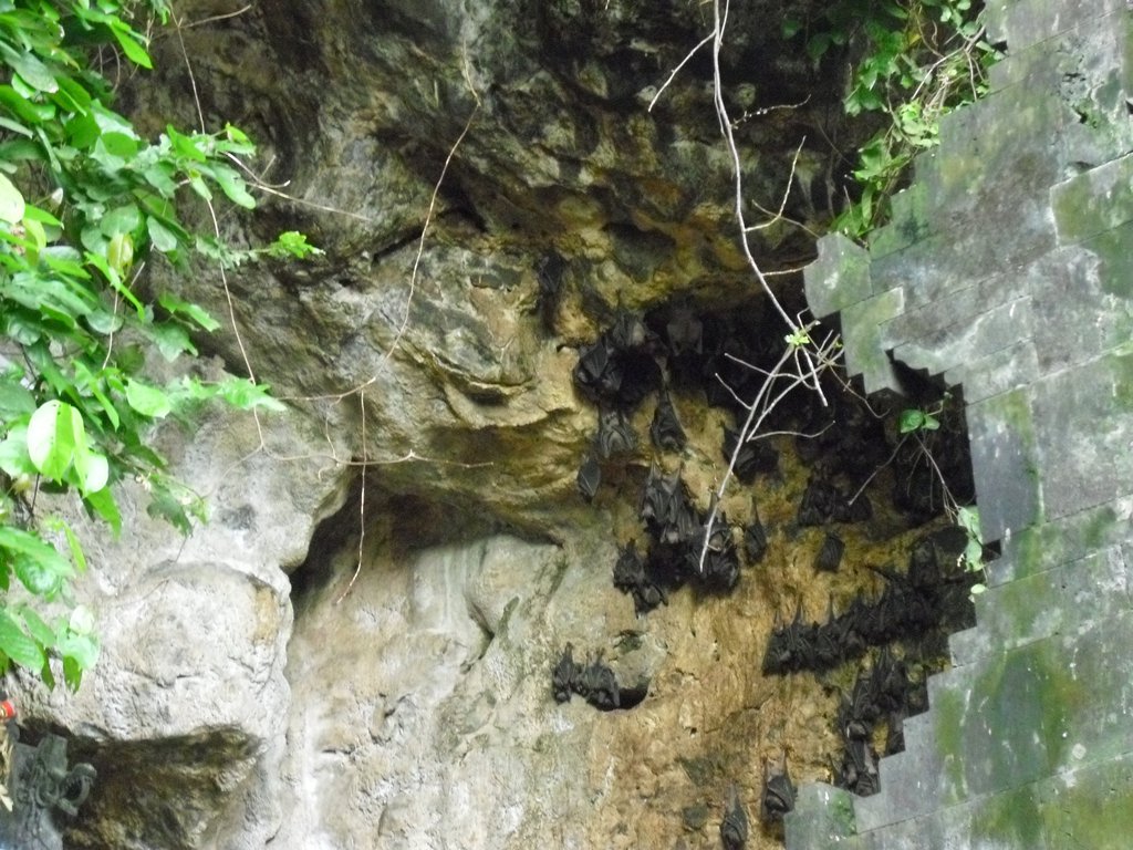 Image CIMG6824.JPG