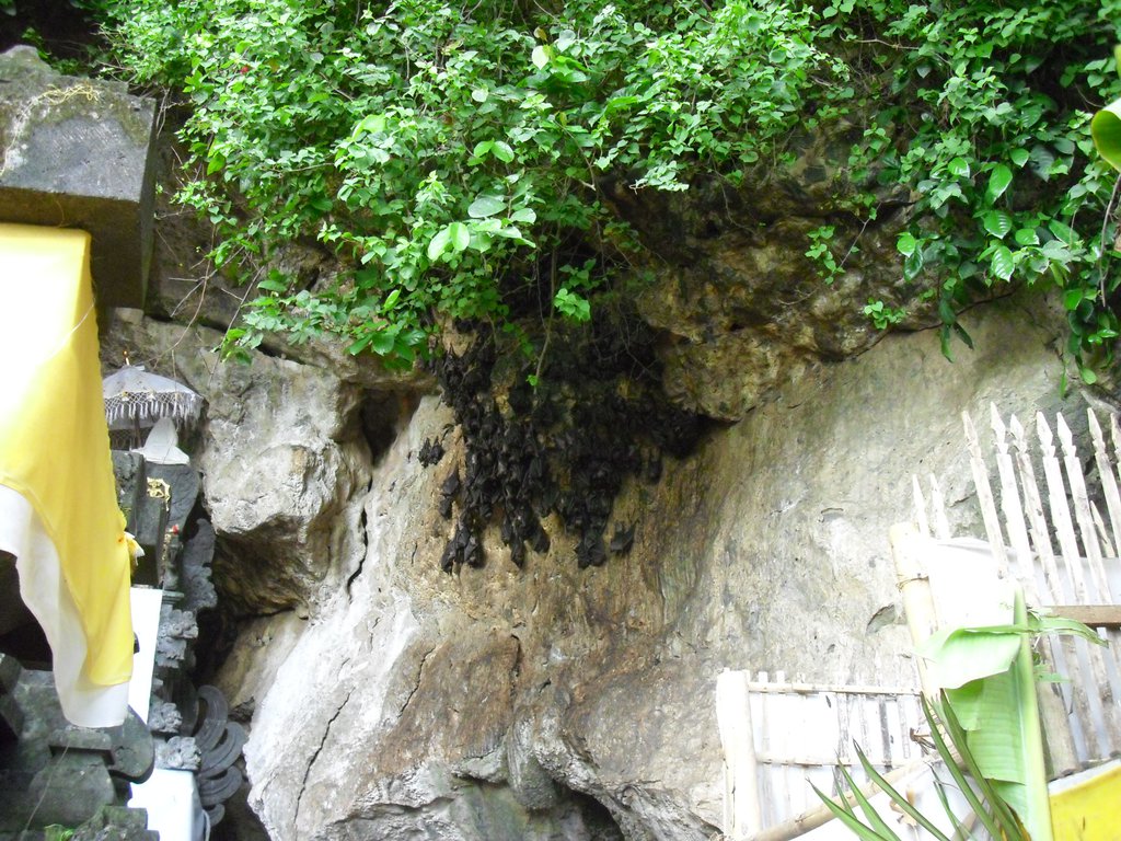 Image CIMG6827.JPG