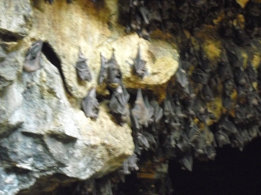 Image CIMG6830.JPG