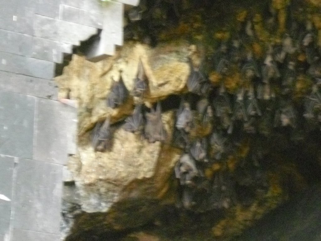 Image CIMG6836.JPG