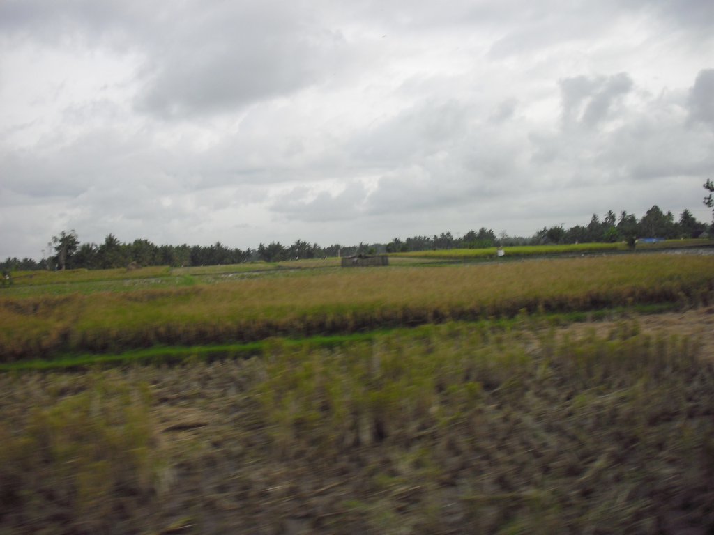 Image CIMG6848.JPG