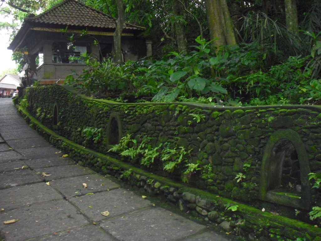 Image CIMG6851.JPG
