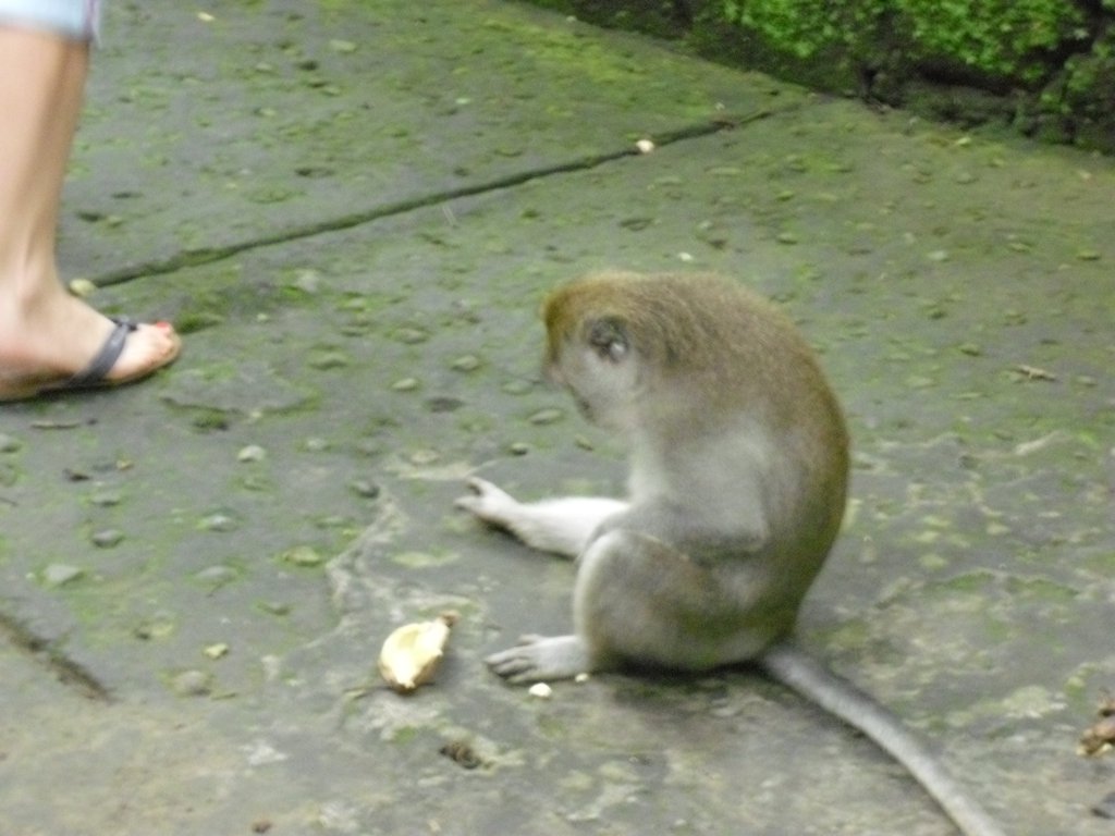 Image CIMG6853.JPG