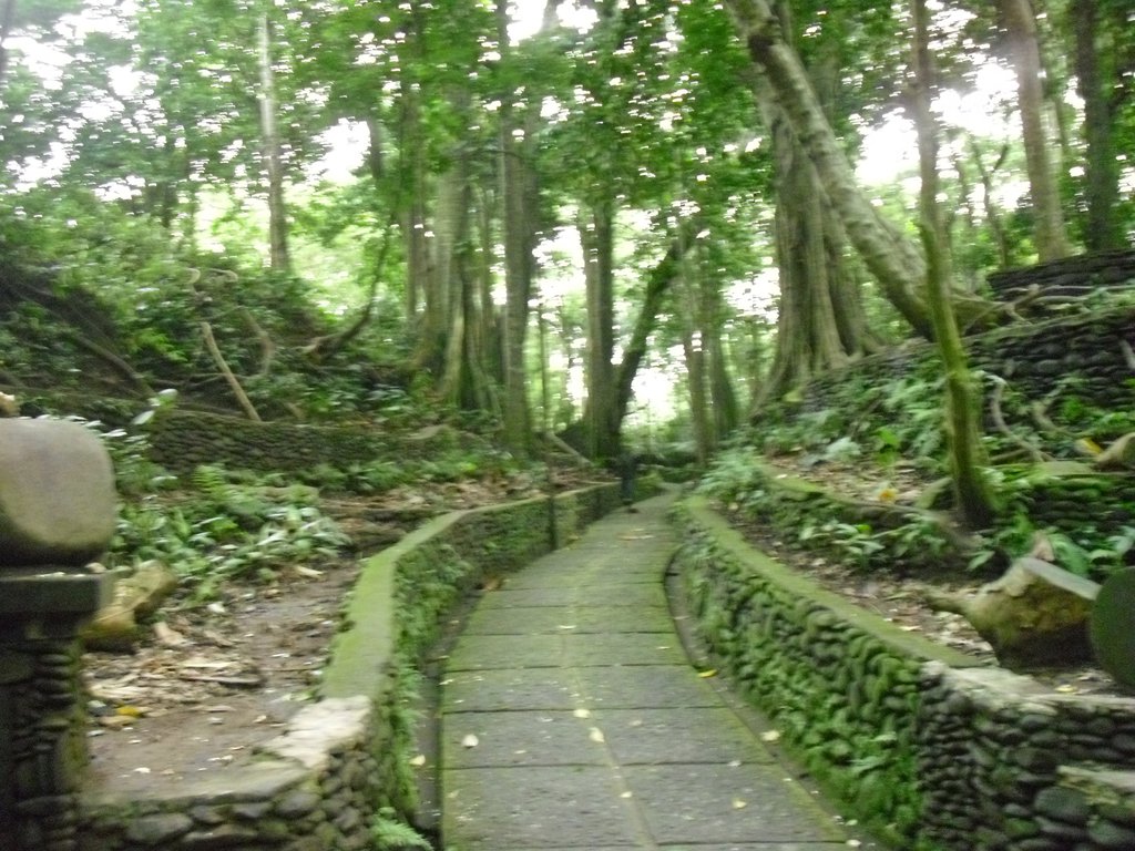 Image CIMG6856.JPG