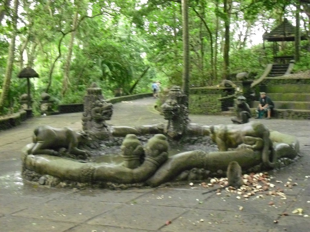 Image CIMG6863.JPG
