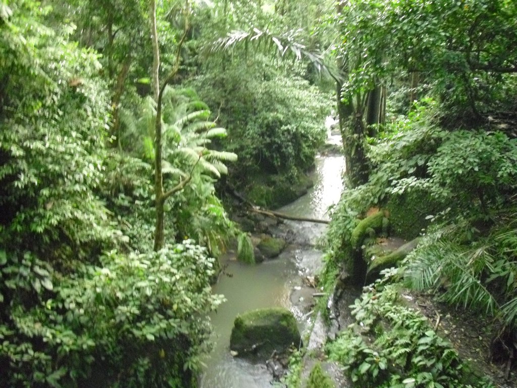 Image CIMG6869.JPG