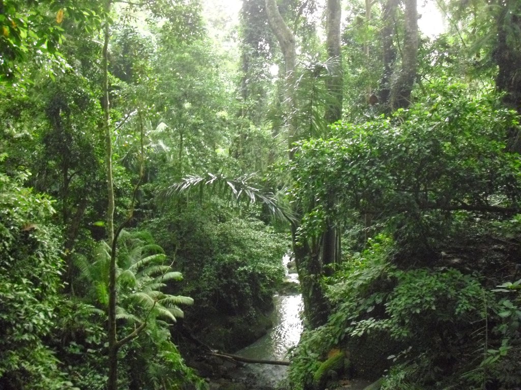Image CIMG6870.JPG