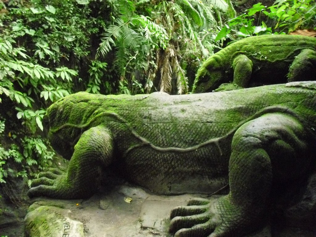 Image CIMG6872.JPG
